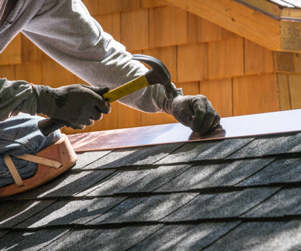 Roof Gutter Cleaning in Edisto, SC